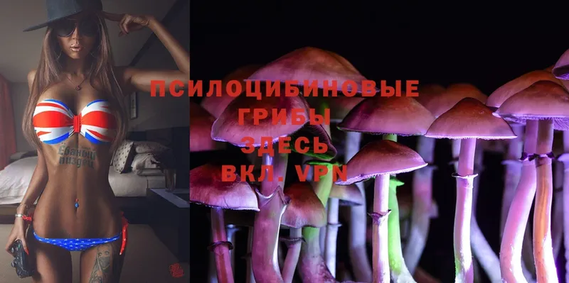 Галлюциногенные грибы Magic Shrooms  Малаховка 